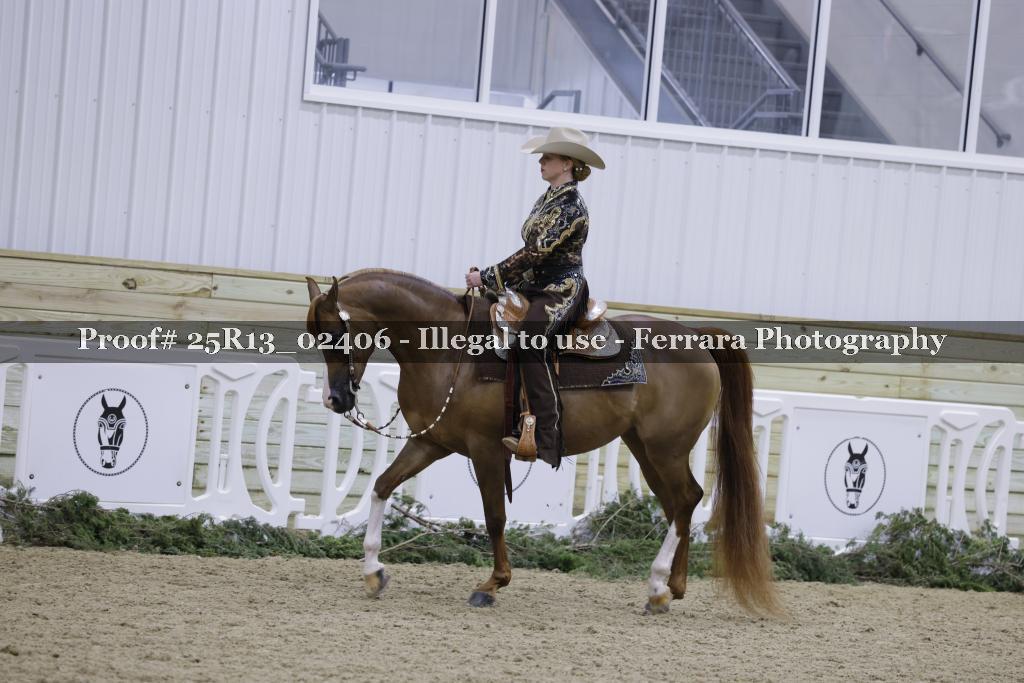 Proof 25R13_02406