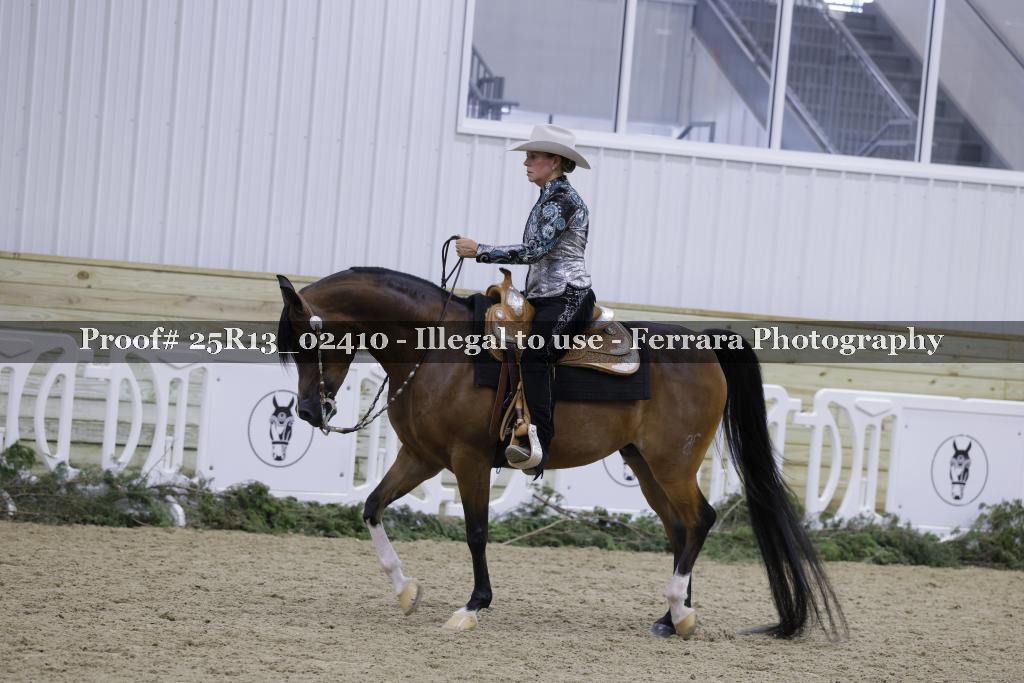 Proof 25R13_02410
