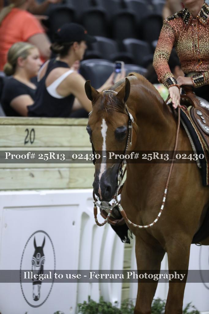 Proof 25R13_02430