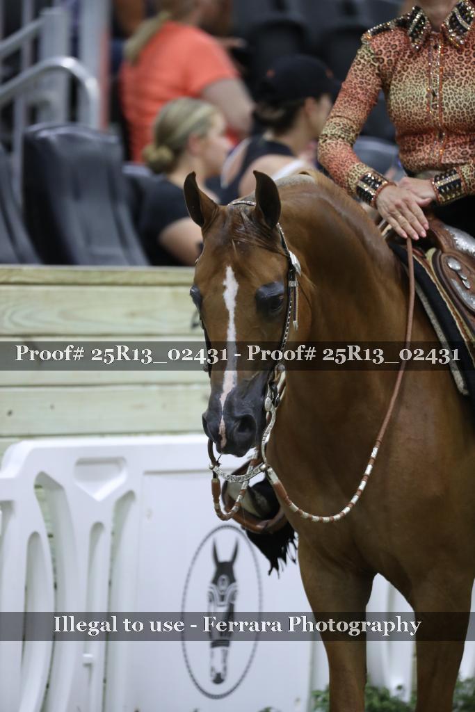 Proof 25R13_02431