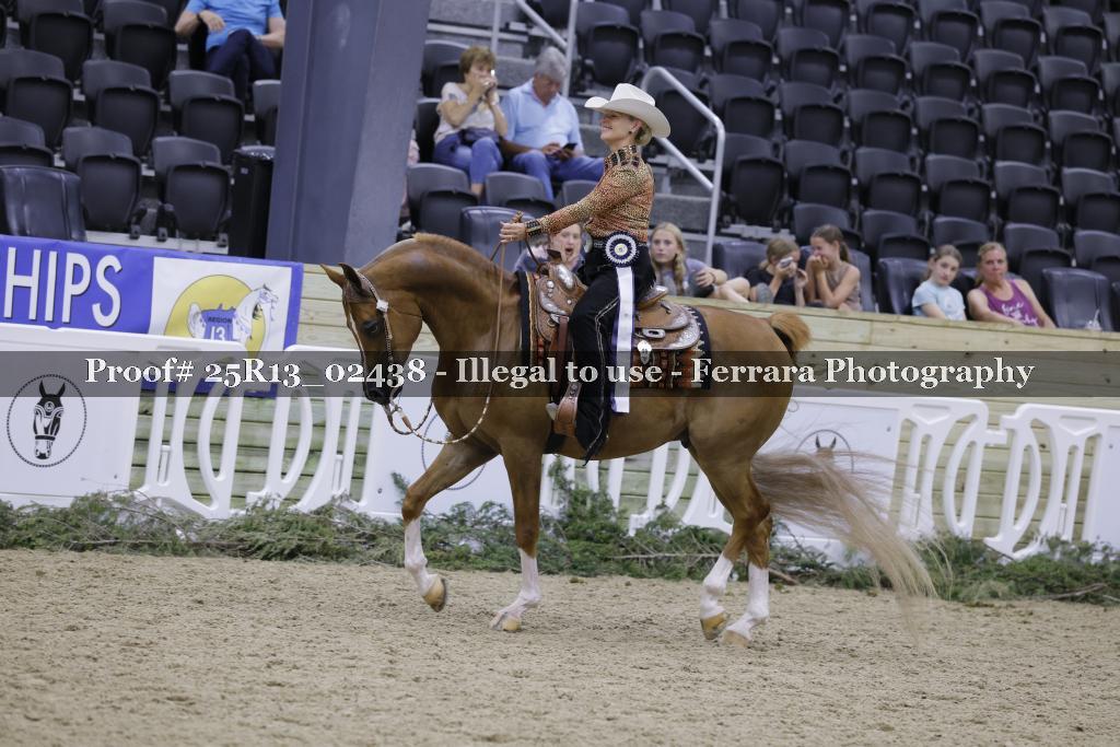 Proof 25R13_02438