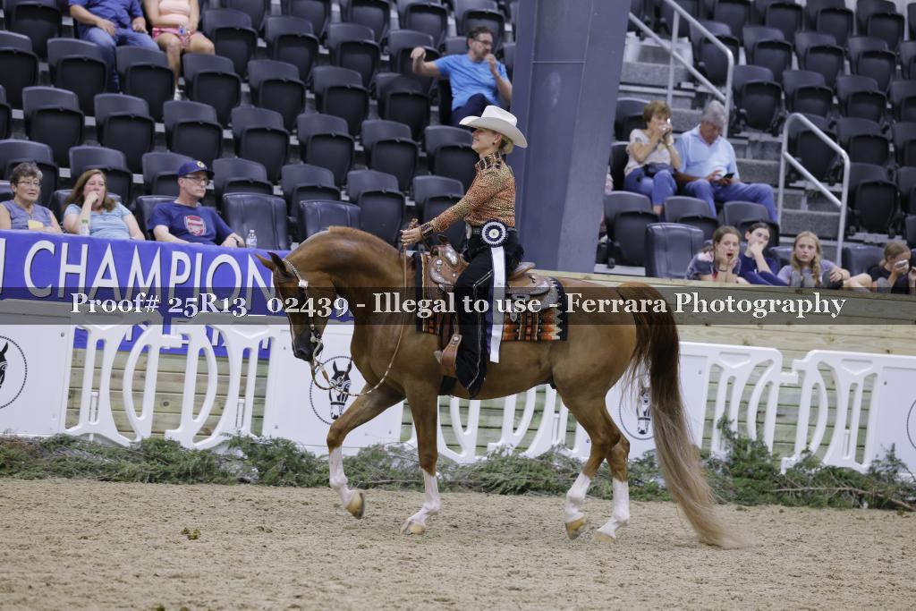 Proof 25R13_02439
