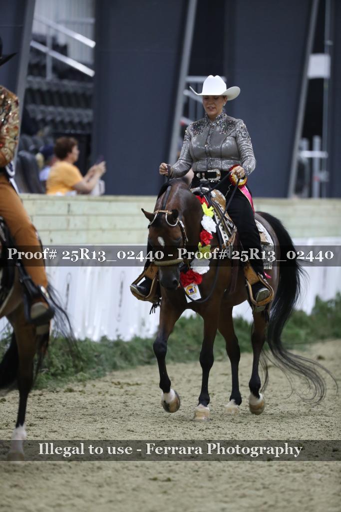 Proof 25R13_02440