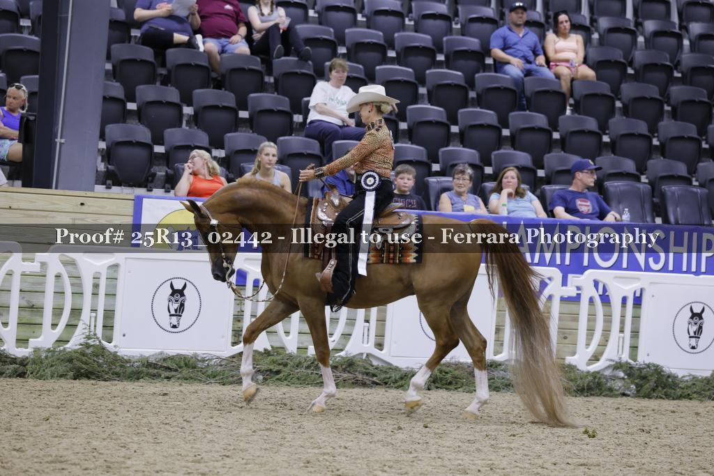 Proof 25R13_02442