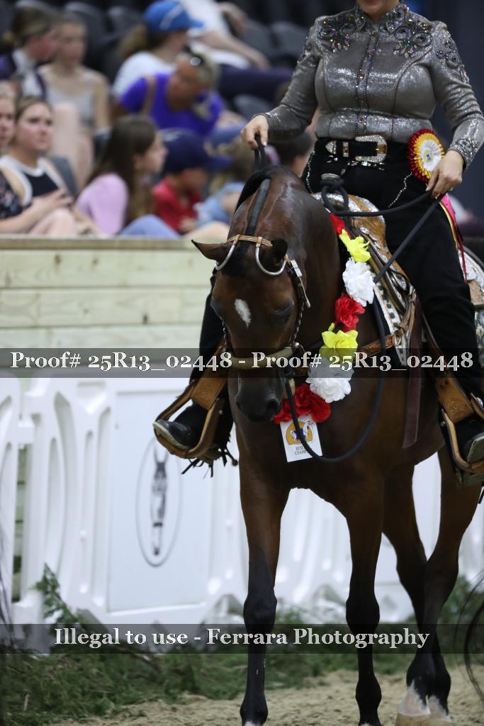 Proof 25R13_02448