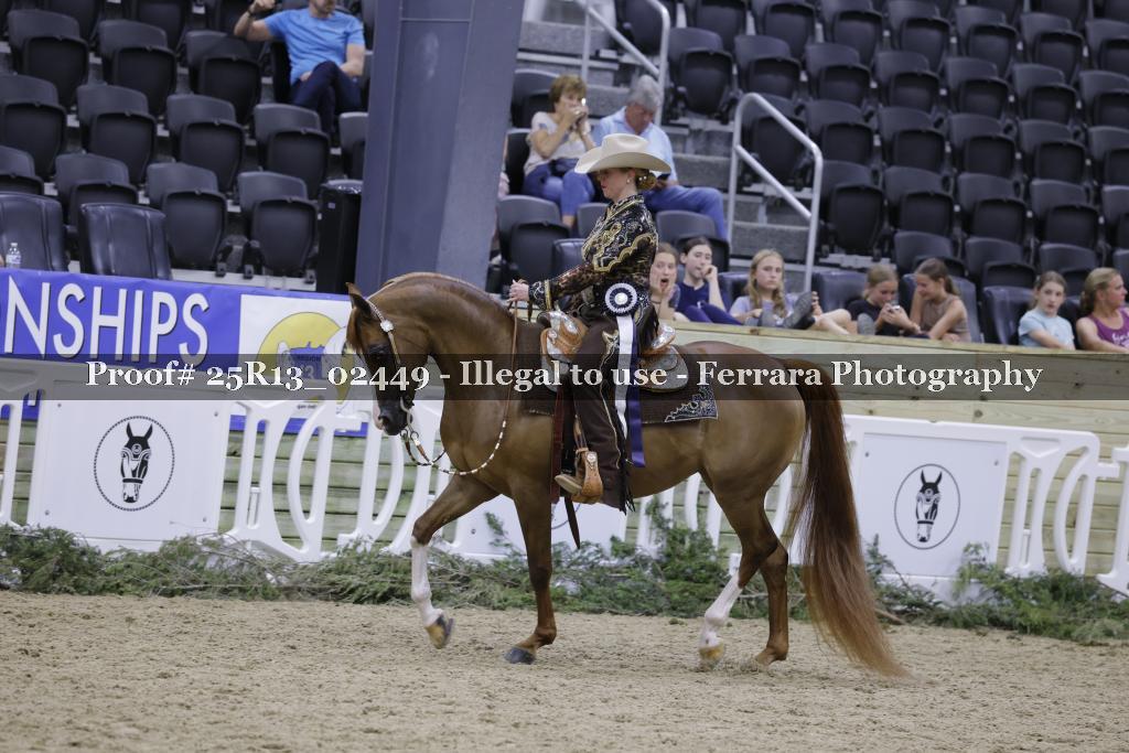 Proof 25R13_02449