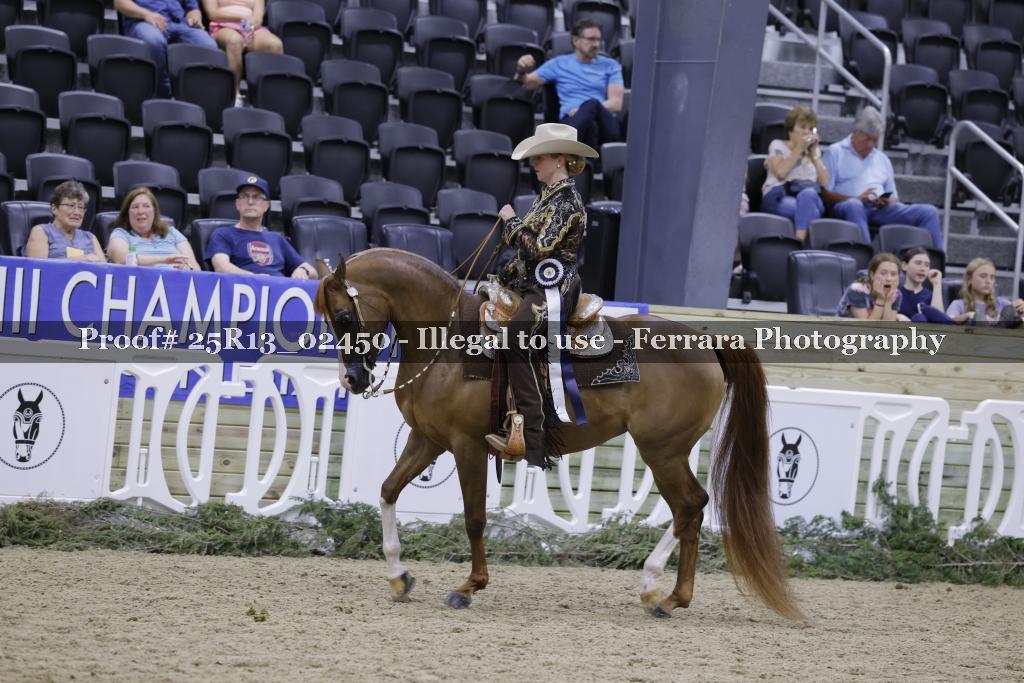 Proof 25R13_02450