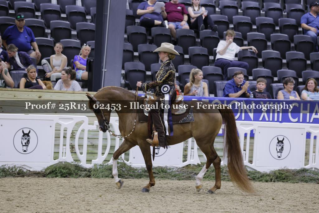 Proof 25R13_02453