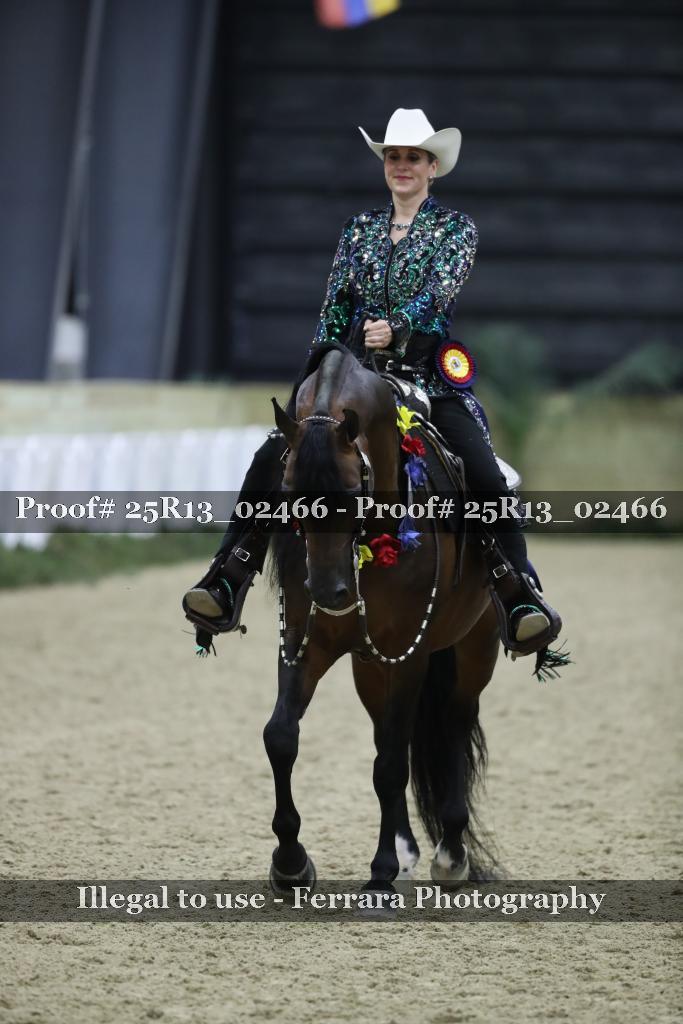 Proof 25R13_02466