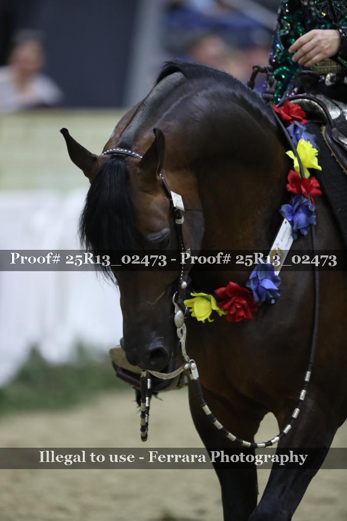 Proof 25R13_02473