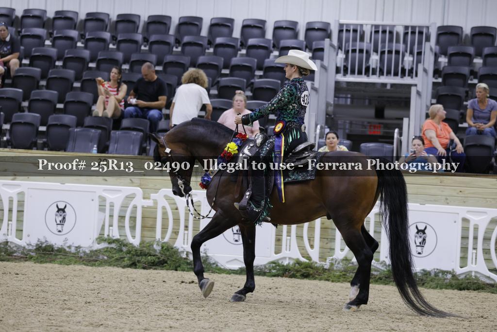 Proof 25R13_02490