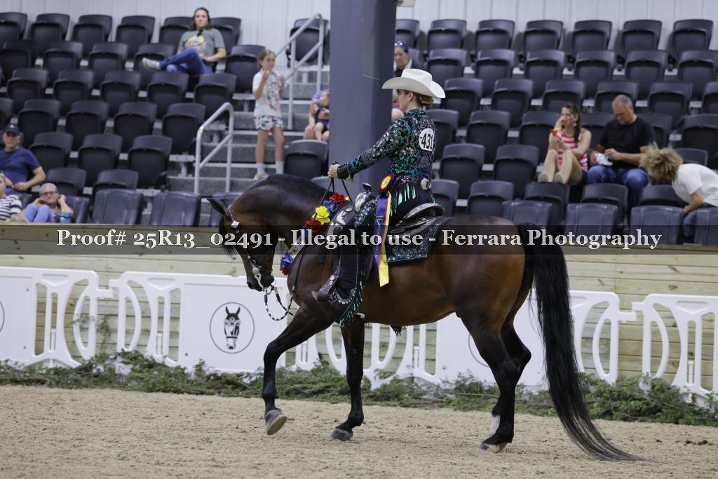 Proof 25R13_02491