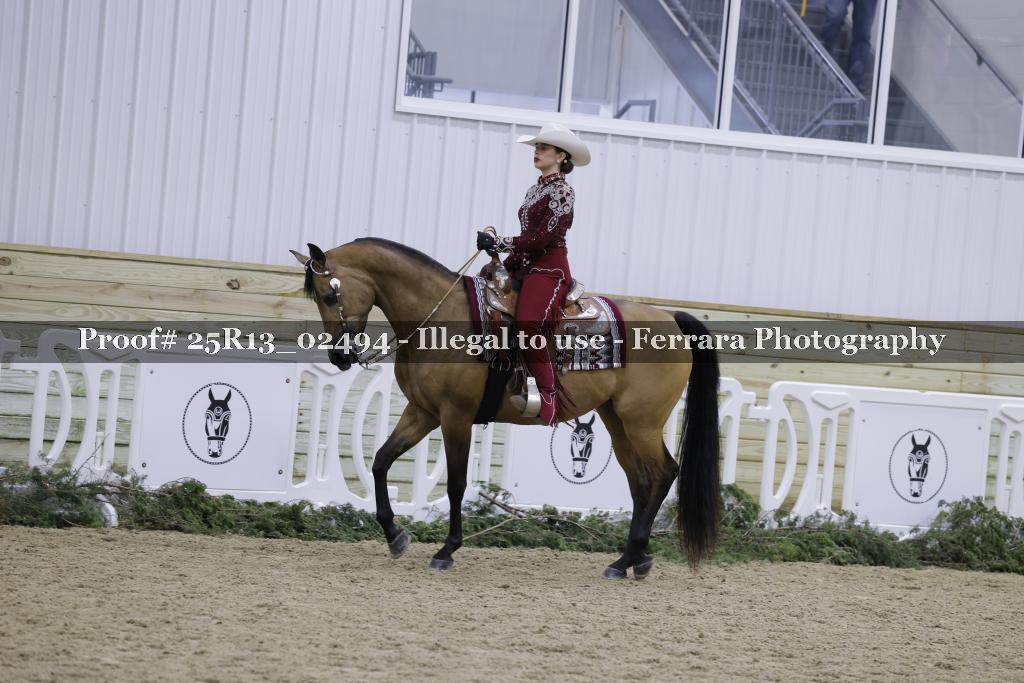 Proof 25R13_02494