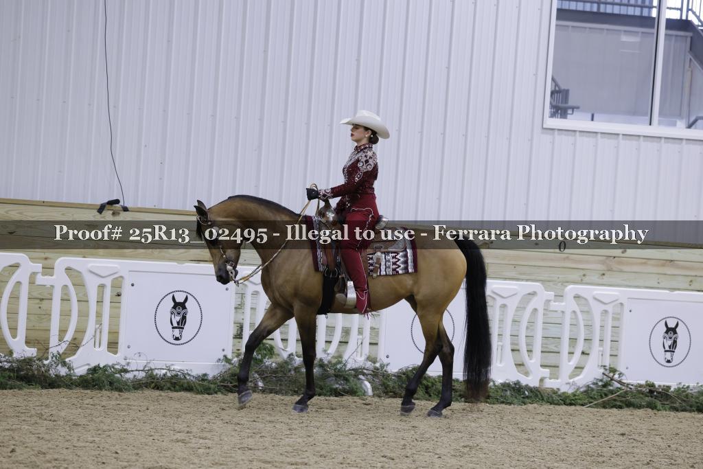 Proof 25R13_02495