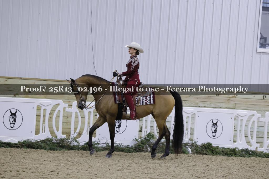 Proof 25R13_02496