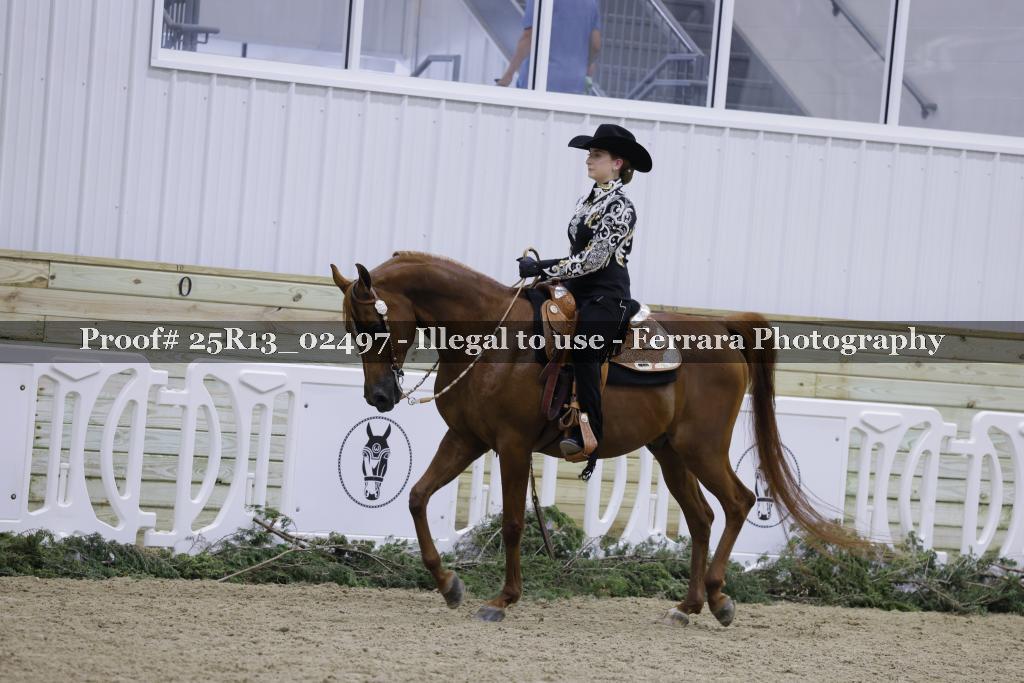 Proof 25R13_02497