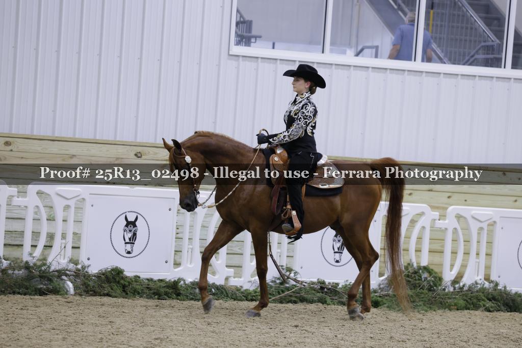 Proof 25R13_02498
