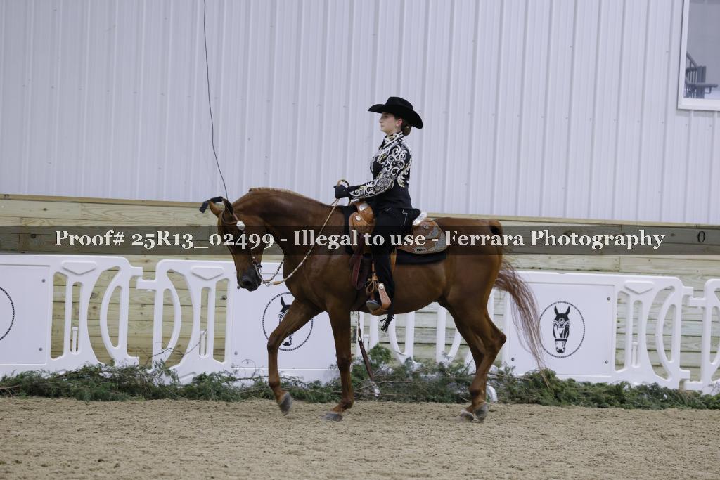 Proof 25R13_02499