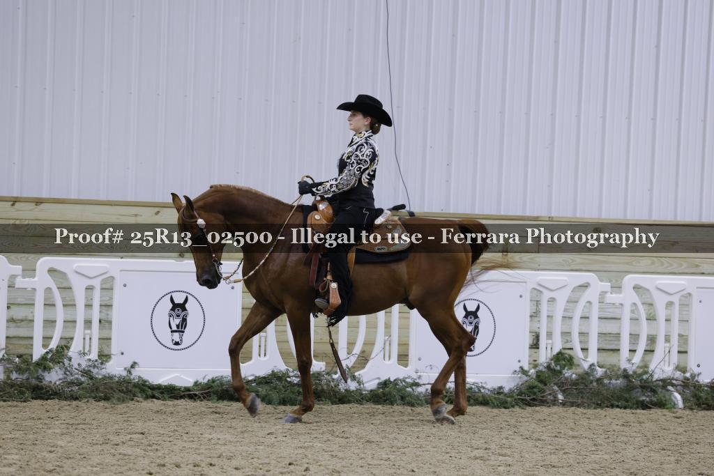 Proof 25R13_02500