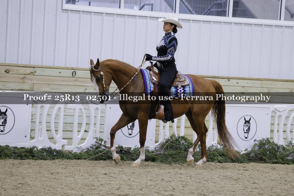 Proof 25R13_02501