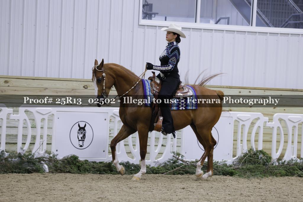 Proof 25R13_02502