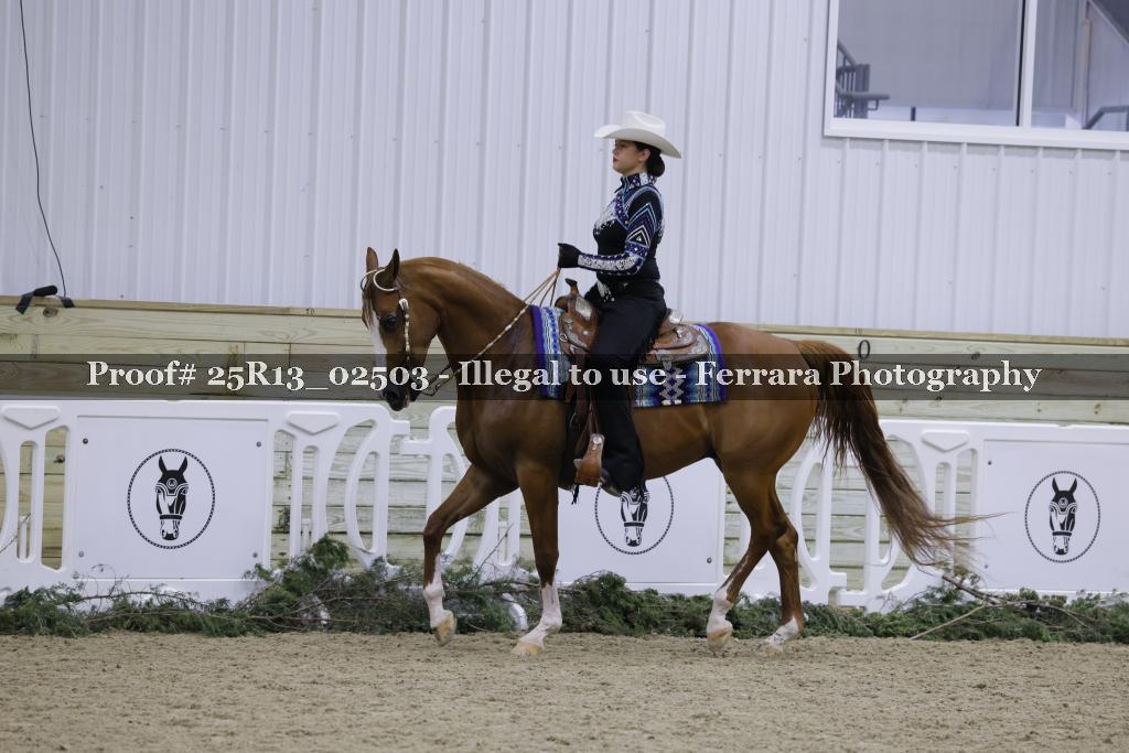 Proof 25R13_02503