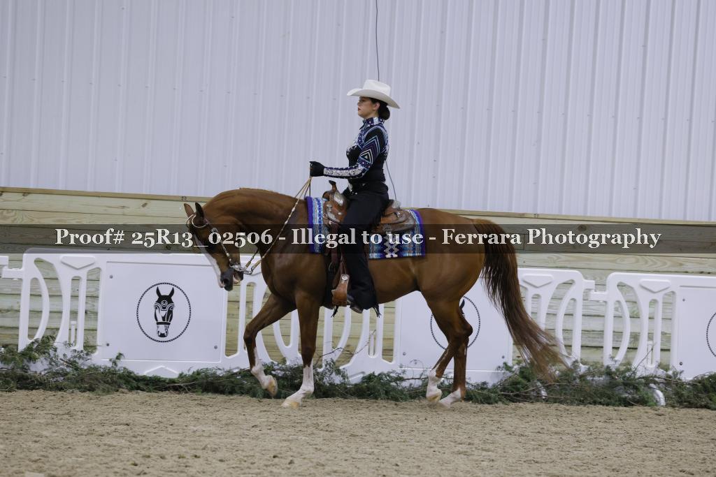 Proof 25R13_02506