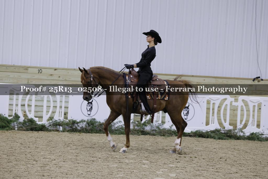 Proof 25R13_02508