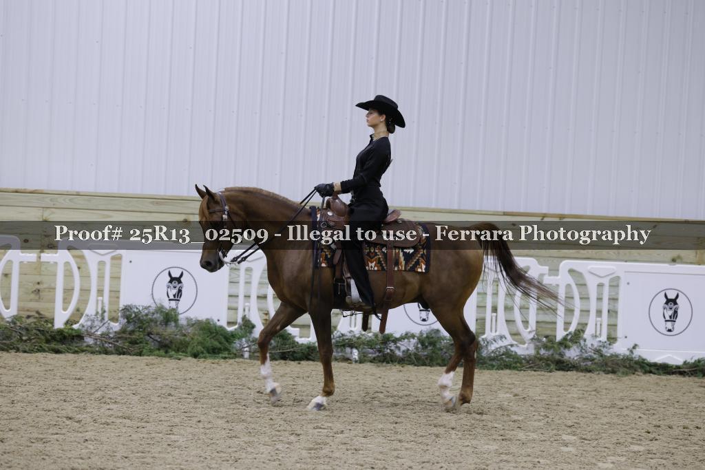 Proof 25R13_02509