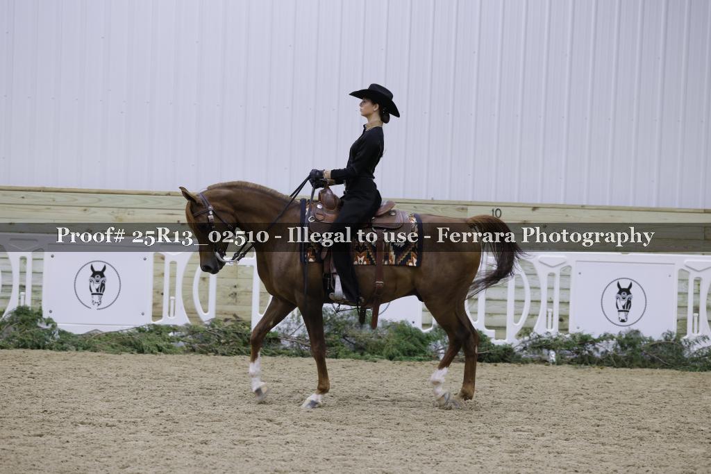 Proof 25R13_02510