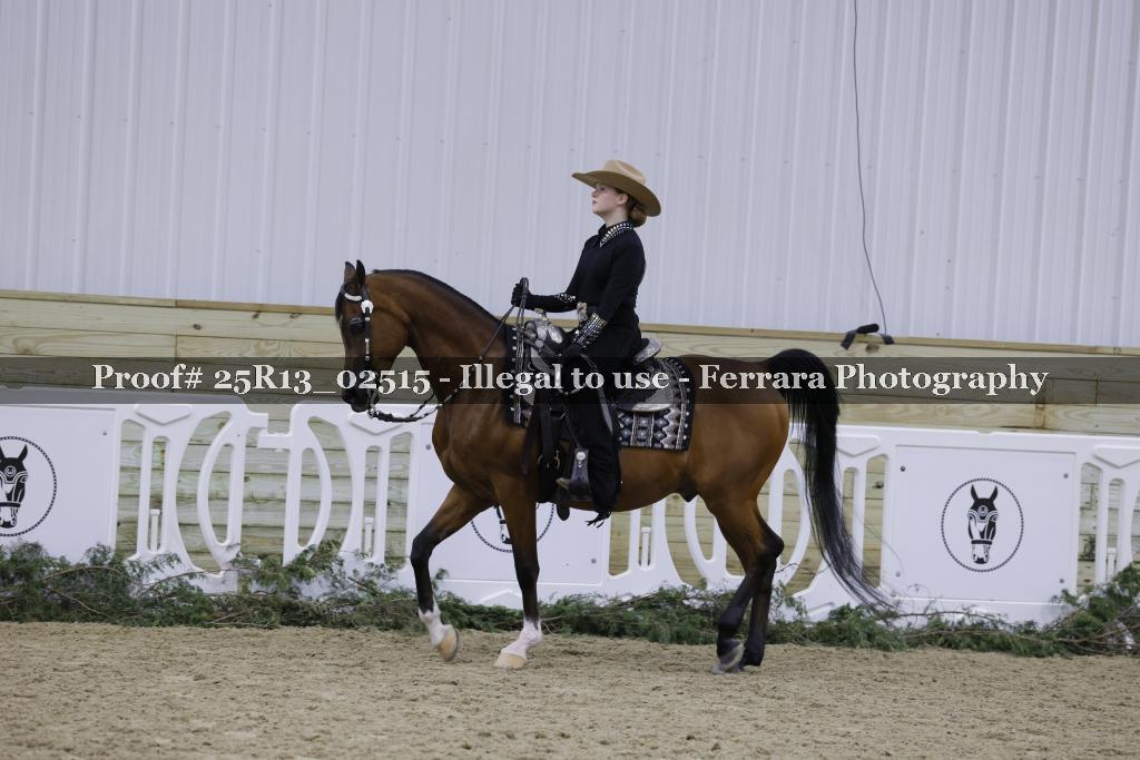 Proof 25R13_02515