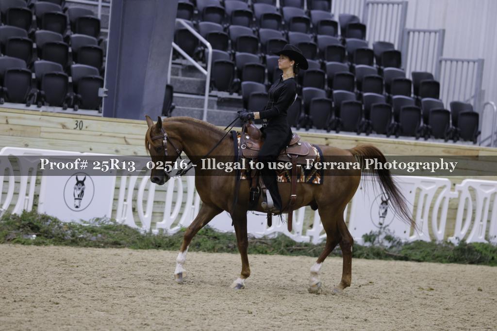 Proof 25R13_02516