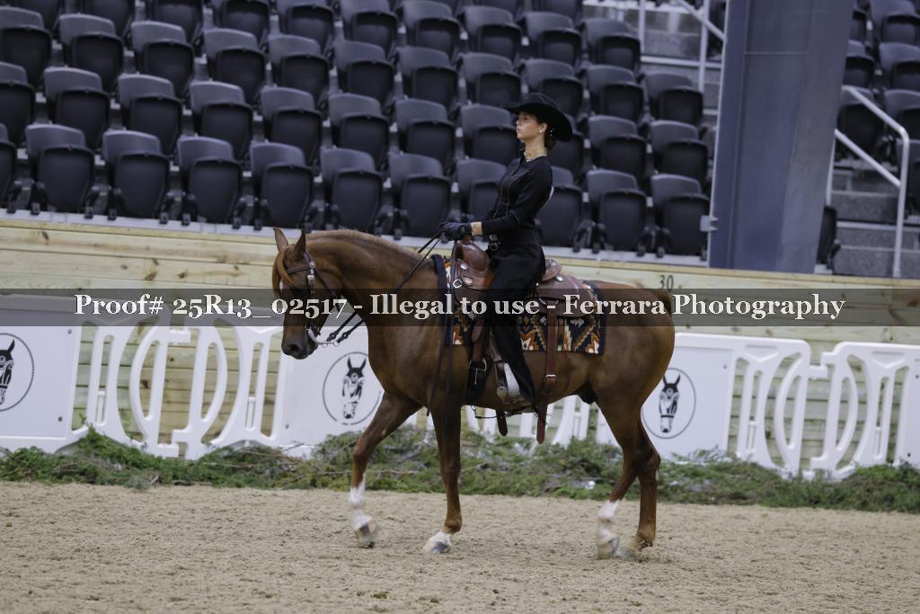 Proof 25R13_02517
