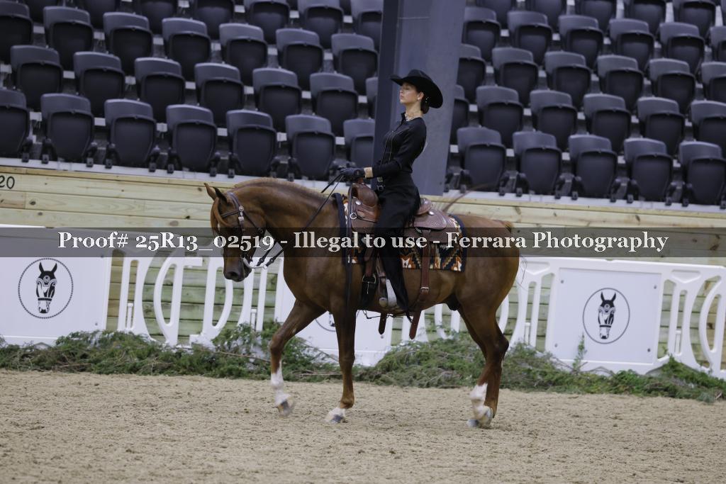 Proof 25R13_02519