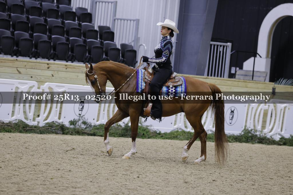 Proof 25R13_02520