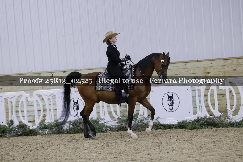 Proof 25R13_02525
