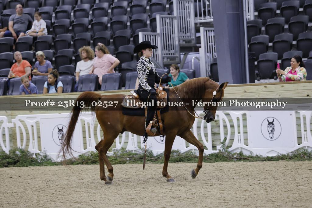 Proof 25R13_02527