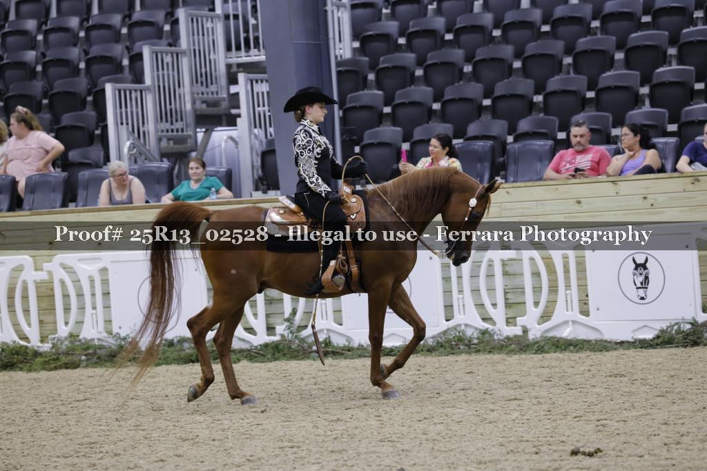 Proof 25R13_02528
