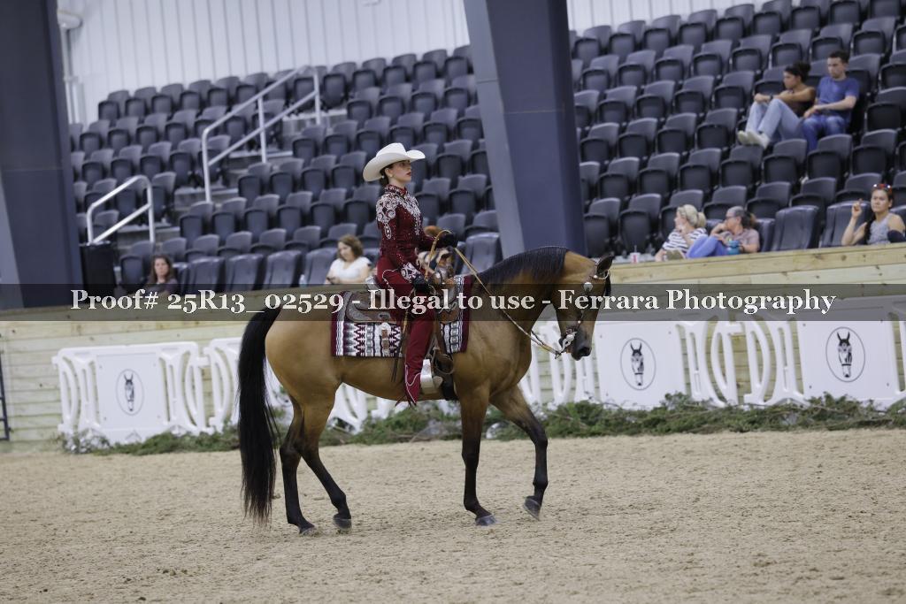 Proof 25R13_02529