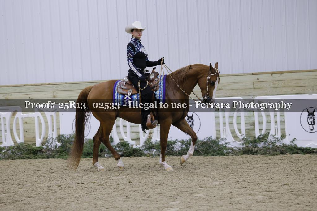 Proof 25R13_02533