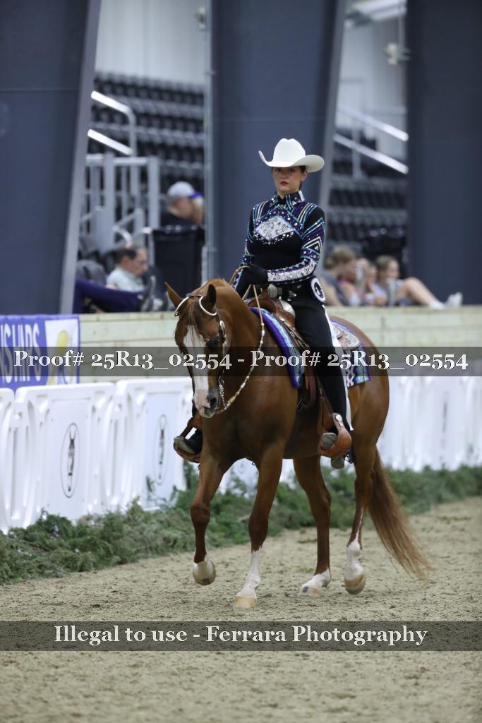 Proof 25R13_02554
