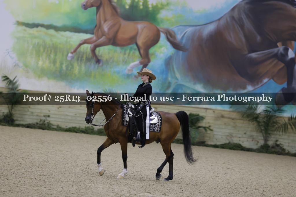 Proof 25R13_02556