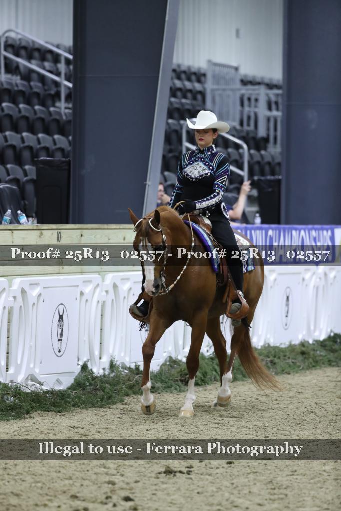 Proof 25R13_02557