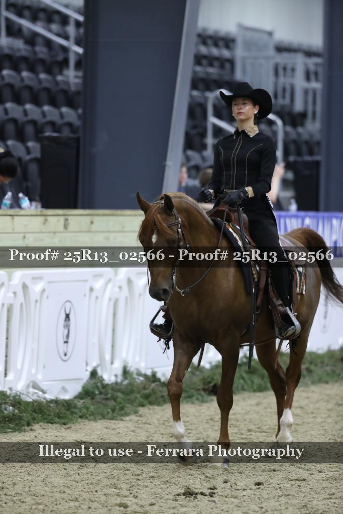 Proof 25R13_02566