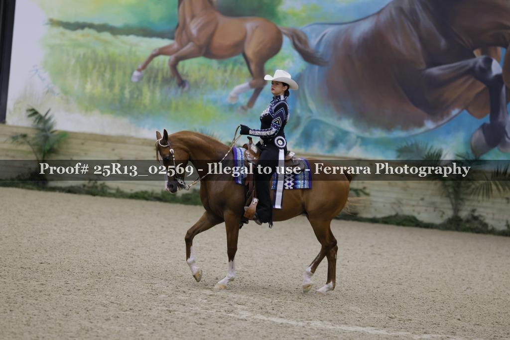 Proof 25R13_02569