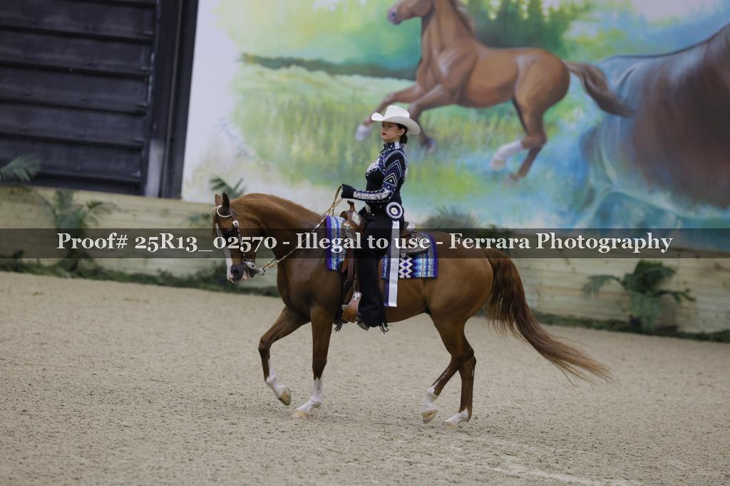 Proof 25R13_02570