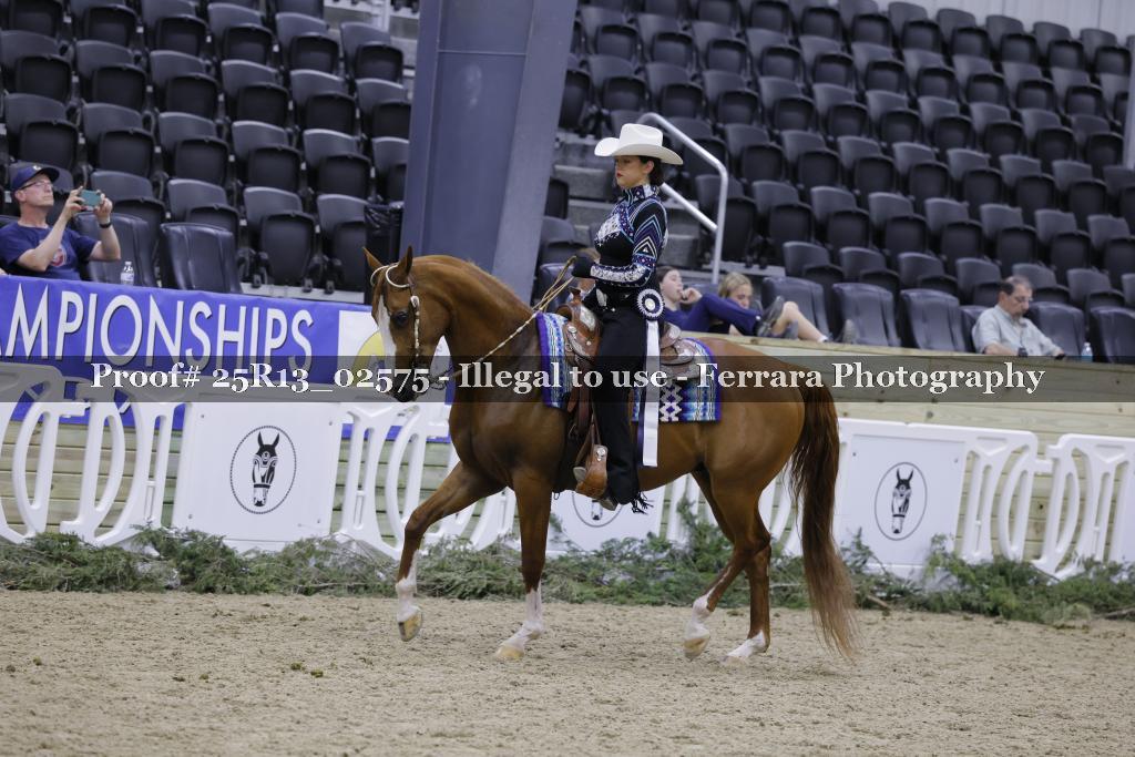 Proof 25R13_02575