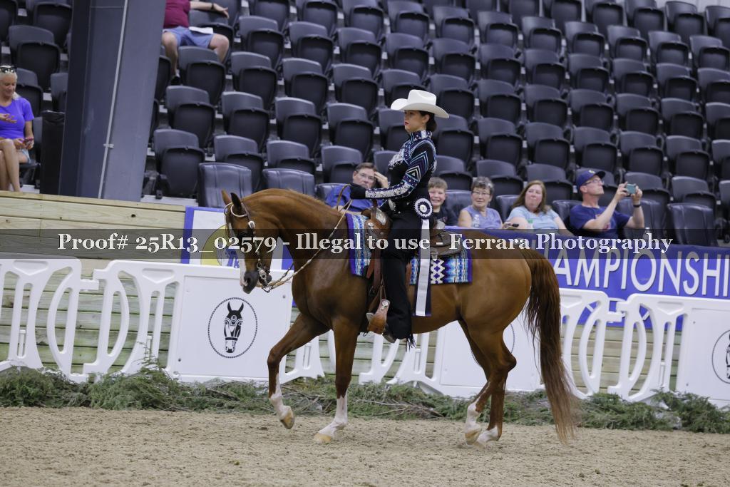Proof 25R13_02579