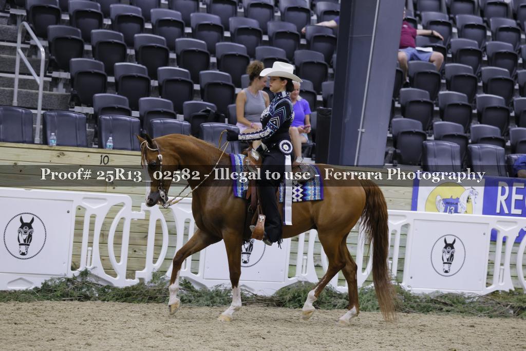 Proof 25R13_02582
