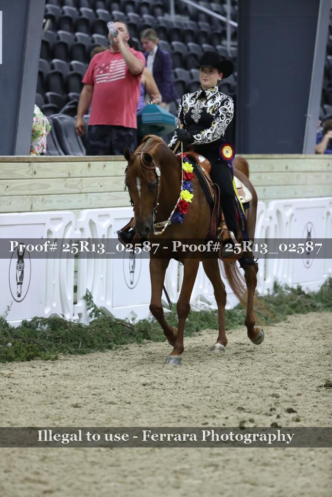 Proof 25R13_02587